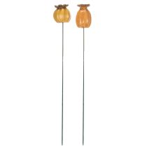 Artikel Vallmofrökapsel för snygg trädgårdsdesign, rabatt eller balkong, 60 cm, 2 stycken