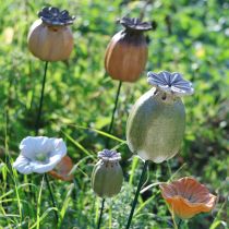 Artikel Vallmofrökapslar trädgårdsstång dekorationer för charmiga trädgårdsarrangemang 60 cm 2 st