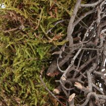Artikel Mosskrans dekorativ krans mossgrön med musgräs natur Ø30cm