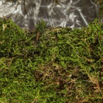 Artikel Mossdekorativ kruka, halvmåneformad med metallbas, naturlig dekoration för vardagsrum och fester, 40×15×30 cm