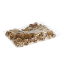 Artikel Sabulosum kottar kräm 500g