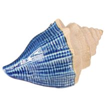 Artikel Skaldekoration Maritim Keramik Blå Beige 16,5×11×9,5cm 2 st