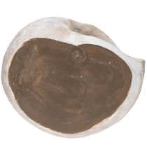 Artikel Dekorativ snigelformad behållare för maritim och naturlig väggdesign, grå, 21 cm