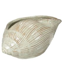 Artikel Keramisk skål med snäckskaldesign för elegant dekoration i vardagsrummet, 23 cm