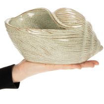 Artikel Keramisk skål med snäckskaldesign för elegant dekoration i vardagsrummet, 23 cm