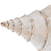 Artikel Dekorativ snäckskalform för elegant maritim dekoration, 44 cm