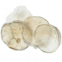 Artikel Stranddekoration, capiz-skal 5-10cm, naturföremål, pärlemor, maritimt 1 kg