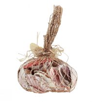 Artikel Skaldekoration riktiga skal olika typer 300g