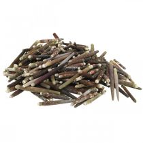 Artikel Dekorativa skal Urchin Spines, sjöborre ryggar, maritim dekoration L3–8cm 450g