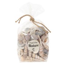 Artikel Snäckor och snäckor Naturliga maritima dekorationsföremål för elegant inredning 500 g