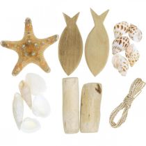 Gör-det-själv-låda Maritim naturliga skal Trädekoration Diverse Set
