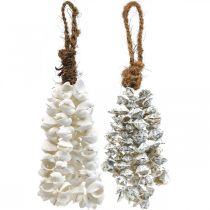 Skal skal halsband skal hänge deco maritime 2st
