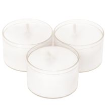 Artikel Nattljus Värmeljus Vita i Plastbricka 8 Timmar 50 Styck