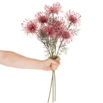 Artikel Konstgjord blomma nåldyna protea blommande gren 65cm 3st