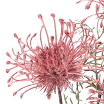 Artikel Konstgjord blomma nåldyna protea blommande gren 65cm 3st