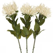Artikel Nålkudde konstgjorda blommor exotiska Protea Leucospermum kräm 73cm 3st