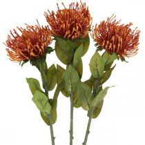Artikel Nålkudde Exotisk konstgjord blomma Orange Leucospermum Protea 73cm 3st