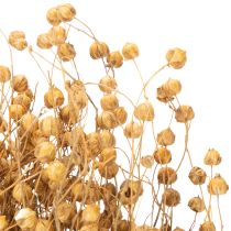 Artikel Naturliga torkade lingräs för torkade blomsterarrangemang Linum Natur 60cm 180g