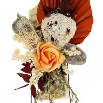 Artikel Naturlig kudde gravkuddar torra exotiska 3 gånger assorterade 24 stycken