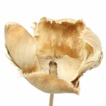 Artikel Naturlig blomma, palmkopp på stjälk blekt 25 st