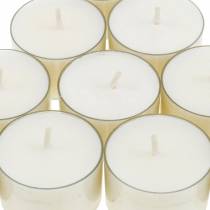 PURE Nature Lights värmeljus rapsvax naturlig brinntid 7 timmar 18st