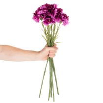 Artikel Konstnejlika, tvåfärgad, lång stjälk 56 cm, knippe om 8