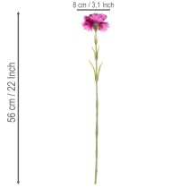 Artikel Konstnejlika, tvåfärgad, lång stjälk 56 cm, knippe om 8