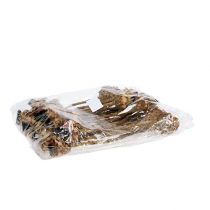 Artikel Nerifolia Bud 25 st