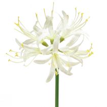 Artikel Nerine Guernsey Lily Konstblomma Vit Gul Ø15cm L65cm