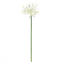 Artikel Nerine Guernsey Lily Konstblomma Vit Gul Ø15cm L65cm