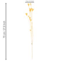 Artikel Torkat Nigella-blomsarrangemang för långvarig användning. Elegant blickfång. 70 cm 50 g