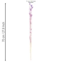 Artikel Torkad Nigella-blombukett, dekorativ användning i vardagsrummet, skapar en unik atmosfär, 70 cm, 50 g