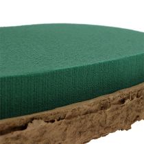 Artikel OASIS® Biolit® hjärta stort 34cm 2 st