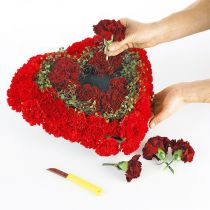 Artikel OASIS® Biolit® hjärta litet 25cm 4 st