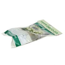 Artikel OASIS® Deco-Fix 10 st