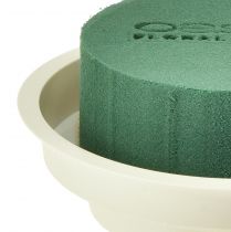 Artikel OASIS® Junior Komplett 12 st