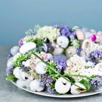 Artikel OASIS® blommig skumkrans ring grön H3cm Ø25cm 6 st