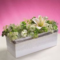 Artikel OASIS® Bordsdekor Miniblomskum 8 st