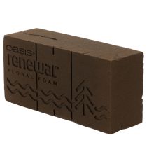 Artikel Oasis Renewal Blomskum 23cm 1 Kloss