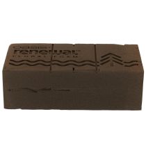 Artikel Oasis Renewal Blomskum 23cm 1 Kloss
