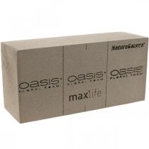 OASIS® BIOLIT® NatureSource tegelblommigt skum 23cm×11cm×7cm 10 stycken