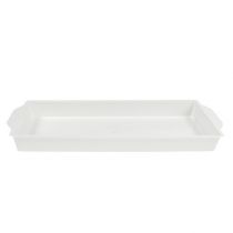 Artikel OASIS® plug-in skål vit 23cm x 11,5cm x 2,5cm 5 st