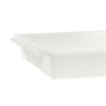 Artikel OASIS® plug-in skål vit 23cm x 11,5cm x 2,5cm 5 st