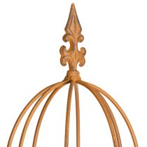 Artikel Trädgårdsspaljé, klätterhjälpmedel för rosor och andra klätterväxter, idealisk trädgårdsdesign, 108 cm, set om 2.