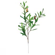 Artikel Olivgren konstgjord oliv dekorativ gren 45cm