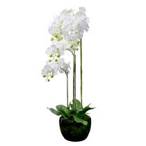 Orkidé vit med klot 110cm