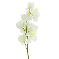 Konstgjord orkidékräm 50cm 6st