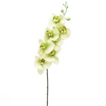 Orkidé Konstgjord Gulgrön Phalaenopsis L83cm