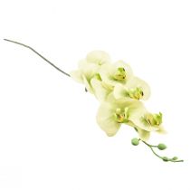 Artikel Orkidé Konstgjord Gulgrön Phalaenopsis L83cm