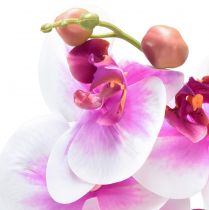 Artikel Orkidé Artificiell Phalaenopsis 4 Blommor Vit Rosa 72cm